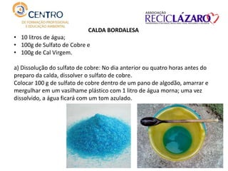 CALDA BORDALESA
• 10 litros de água;
• 100g de Sulfato de Cobre e
• 100g de Cal Virgem.
 
a) Dissolução do sulfato de cobre: No dia anterior ou quatro horas antes do
preparo da calda, dissolver o sulfato de cobre.
Colocar 100 g de sulfato de cobre dentro de um pano de algodão, amarrar e
mergulhar em um vasilhame plástico com 1 litro de água morna; uma vez
dissolvido, a água ficará com um tom azulado.
 