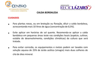 CUIDADOS
• Para plantas novas, ou em brotação ou floração, diluir a calda bordalesa,
acrescentando mais 10 litros de água (concentração de 0,5%).
• Evite aplicar em horários de sol quente. Recomenda-se aplicar a calda
bordalesa em pequenas áreas teste nas condições locais (espécie, cultivar,
estádio de desenvolvimento, condições climáticas) da cultura que será
tratada.
• Para evitar corrosão, os equipamentos e metais podem ser lavados com
solução aquosa de 25% de ácido acético (vinagre) mais duas colheres de
chá de óleo mineral.
CALDA BORDALESA
 