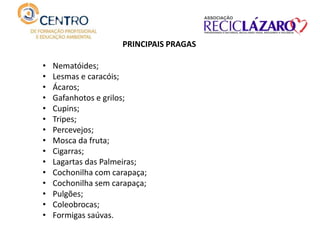 • Nematóides;
• Lesmas e caracóis;
• Ácaros;
• Gafanhotos e grilos;
• Cupins;
• Tripes;
• Percevejos;
• Mosca da fruta;
• Cigarras;
• Lagartas das Palmeiras;
• Cochonilha com carapaça;
• Cochonilha sem carapaça;
• Pulgões;
• Coleobrocas;
• Formigas saúvas.
PRINCIPAIS PRAGAS
 