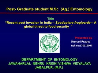 Post- Graduate student M.Sc. (Ag.) Entomology
Title
“Recent pest invasion in India – Spodoptera frugiperda – A
global threat to food security ”
Presented by -
Kumari Pragya
Roll no:170119007
DEPARTMENT OF ENTOMOLOGY
JAWAHARLAL NEHRU KRISHI VISHWA VIDYALAYA
JABALPUR, (M.P.)
 