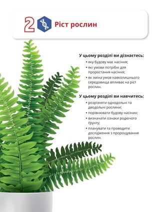 24
Ріст рослин
2
2
У цьому розділі ви дізнаєтесь:
• яку будову має насіння;
• які умови потрібні для
проростання насіння;
• як зміна умов навколишнього
середовища впливає на ріст
рослин.
У цьому розділі ви навчитесь:
• розрізняти однодольні та
дводольні рослини;
• порівнювати будову насінин;
• визначати ознаки родючого
ґрунту;
• планувати та проводити
дослідження з пророщування
рослин.
 
