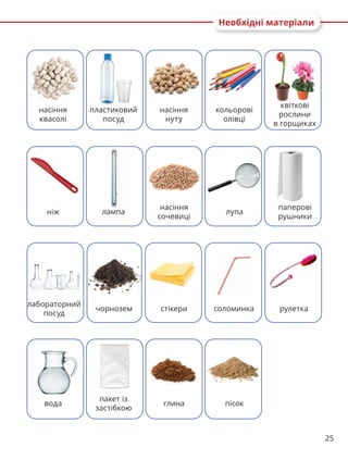 25
ніж лампа
насіння
сочевиці
лупа
паперові
рушники
лабораторний
посуд
чорнозем стікери соломинка рулетка
Необхідні матеріали
насіння
квасолі
пластиковий
посуд
насіння
нуту
кольорові
олівці
квіткові
рослини
в горщиках
вода
пакет із
застібкою
глина пісок
 