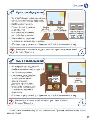 2 РОЗДІЛ
29
Чи впливає наявність води та тепла на проростання насіння?
Як саме? Поясніть.
• Чи потрібні вода та тепло для того,
щоб насіння сочевиці проросло?
• Зробіть припущення.
• Сплануйте дослідження,
за допомогою
якого можна отримати
достовірні результати.
• Виконайте експеримент
та запишіть отримані результати.
• Обговоріть результати дослідження, щоб дійти певного висновку.
A
Нумо досліджувати!
Чи впливає наявність світла на проростання насіння?
Як саме? Поясніть.
• Чи потрібне світло для того,
щоб насіння сочевиці проросло?
• Зробіть припущення.
• Сплануйте дослідження,
за допомогою якого
можна отримати
достовірні результати.
• Виконайте експеримент
та запишіть отримані
результати.
• Обговоріть результати дослідження, щоб дійти певного висновку.
Б
Нумо досліджувати!
* Замість насіння сочевиці можна використати будь-яке інше насіння (огірків,
квасолі тощо).
 