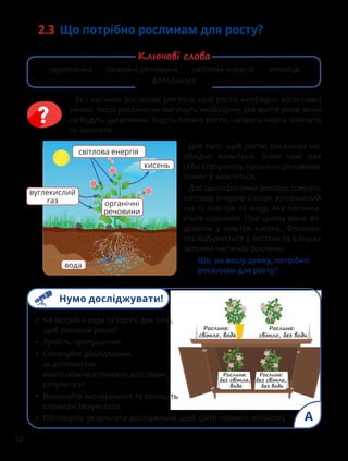32
2.3 Що потрібно рослинам для росту?
Як і насінню, рослинам для того, щоб рости, необхідно мати певні
умови. Якщо рослини не матимуть необхідних для життя умов, вони
не будуть здоровими, будуть погано рости, і можуть навіть зів’янути
та загинути.
• Чи потрібні вода та світло для того,
щоб рослина росла?
• Зробіть припущення.
• Сплануйте дослідження,
за допомогою
якого можна отримати достовірні
результати.
• Виконайте експеримент та запишіть
отримані результати.
• Обговоріть результати дослідження, щоб дійти певного висновку. A
Для того, щоб рости, рослинам не-
обхідно живитися. Вони самі для
себе створюють органічні речовини,
якими й живляться.
Для цього рослини використовують
світлову енергію Сонця, вуглекислий
газ із повітря та воду, яка поглина-
ється корінням. При цьому вони ви-
діляють у повітря кисень. Фотосин-
тез відбувається у листках та в інших
зелених частинах рослини.
Що, на вашу думку, потрібно
рослинам для росту?
вуглекислий
газ
кисень
вода
світлова енергія
органічні
речовини
гідропоніка поживні речовини світлова енергія теплиця
фотосинтез
Ключові слова
Нумо досліджувати!
 