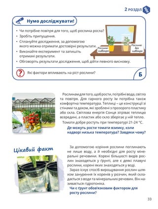 2 РОЗДІЛ
33
Які фактори впливають на ріст рослини?
• Чи потрібне повітря для того, щоб рослина росла?
• Зробіть припущення.
• Сплануйте дослідження, за допомогою
якого можна отримати достовірні результати.
• Виконайте експеримент та запишіть
отримані результати.
• Обговоріть результати дослідження, щоб дійти певного висновку.
Б
Рослинамдлятого,щобрости,потрібнівода,світло
та повітря. Для гарного росту їм потрібна також
комфортна температура. Теплиці – це конструкції зі
стінами та дахом, які зроблені з прозорого пластику
або скла. Світлова енергія Сонця зігріває теплицю
всередині, а пластик або скло зберігає у ній тепло.
Томати добре ростуть при температурі 21-24 °C.

Де можуть рости томати взимку, коли
надворі низька температура? Завдяки чому?
За допомогою коріння рослини поглинають
не лише воду, а й необхідні для росту міне-
ральні речовини. Корені більшості видів рос-
лин знаходяться у ґрунті, але є деякі плавучі
рослини, корені яких знаходяться у воді.
Зараз існує спосіб вирощування рослин шля-
хом занурення їх коренів у розчин, який скла-
дається з води та мінеральних речовин. Він на-
зивається гідропоніка.

Чи є ґрунт обов’язковим фактором для
росту рослини?
Цікавий факт
Нумо досліджувати!
 