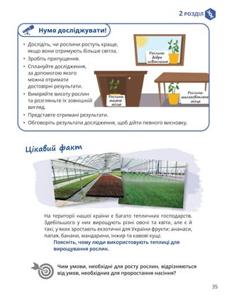 2 РОЗДІЛ
35
Чим умови, необхідні для росту рослин, відрізняються
від умов, необхідних для проростання насіння?
• Дослідіть, чи рослини ростуть краще,
якщо вони отримують більше світла.
• Зробіть припущення.
• Сплануйте дослідження,
за допомогою якого
можна отримати
достовірні результати.
• Виміряйте висоту рослин
та розгляньте їх зовнішній
вигляд.
• Представте отримані результати.
• Обговоріть результати дослідження, щоб дійти певного висновку.
Нумо досліджувати!
Цікавий факт
На території нашої країни є багато тепличних господарств.
Здебільшого у них вирощують різні овочі та квіти, але є й
такі, у яких зростають екзотичні для України фрукти: ананаси,
папая, банани, мандарини, інжир та кавові кущі.

Поясніть, чому люди використовують теплиці для
вирощування рослин.
 