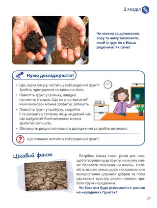 2 РОЗДІЛ
37
Цікавий факт Потрібно кілька тисяч років для того,
щоб утворився шар ґрунту, на якому змо-
же прорости пшениця чи ячмінь. Нато-
мість всього кілька років неправильного
використання штучних добрив та посів
однакових культур рослин можуть зро-
бити ґрунт неродючим.
Чи багатим буде різноманіття рослин
на неродючих ґрунтах?
Чи можна за допомогою
зору та нюху визначити,
який із ґрунтів є більш
родючим? Як саме?
Що повинен містити у собі родючий ґрунт?
• Що, окрім гумусу, містить у собі родючий ґрунт?
Зробіть припущення та запишіть його.
• Помістіть ґрунт у склянку, швидко
наповніть її водою. Що ви спостерігаєте?
Який висновок можна зробити? Запишіть.
• Помістіть ґрунт у пробірку, закрийте
її та залиште у теплому місці на деякий час.
Що відбулося? Який висновок можна
зробити? Запишіть.
• Обговоріть результати вашого дослідження та зробіть висновок.
Нумо досліджувати!
 