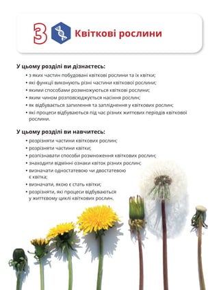 42
Квіткові рослини
3
3
У цьому розділі ви дізнаєтесь:
• з яких частин побудовані квіткові рослини та їх квітки;
• які функції виконують різні частини квіткової рослини;
• якими способами розмножуються квіткові рослини;
• яким чином розповсюджується насіння рослин;
• як відбувається запилення та запліднення у квіткових рослин;
• які процеси відбуваються під час різних життєвих періодів квіткової
рослини.
У цьому розділі ви навчитесь:
• розрізняти частини квіткових рослин;
• розрізняти частини квітки;
• розпізнавати способи розмноження квіткових рослин;
• знаходити відмінні ознаки квіток різних рослин;
• визначати одностатевою чи двостатевою
є квітка;
• визначати, якою є стать квітки;
• розрізняти, які процеси відбуваються
у життєвому циклі квіткових рослин.
 