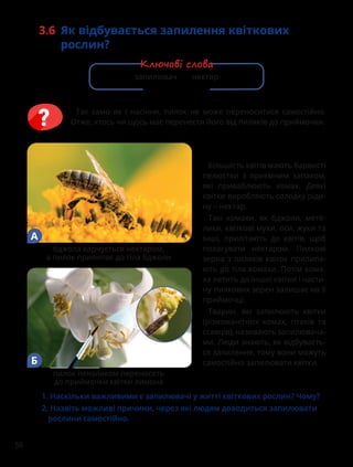 56
Так само як і насіння, пилок не може переноситися самостійно.
Отже, хтось чи щось має перенести його від пиляків до приймочки.
3.6 Як відбувається запилення квіткових
рослин?
запилювач нектар
Ключові слова
1. 
Наскільки важливими є запилювачі у житті квіткових рослин? Чому?
2.Назвіть можливі причини, через які людям доводиться запилювати
рослини самостійно.
Більшість квітів мають барвисті
пелюстки з приємним запахом,
які приваблюють комах. Деякі
квітки виробляють солодку ріди-
ну – нектар.
Такі комахи, як бджоли, мете-
лики, квіткові мухи, оси, жуки та
інші, прилітають до квітів, щоб
поласувати нектаром. Пилкові
зерна з пиляків квіток прилипа-
ють до тіла комахи. Потім кома-
ха летить до іншої квітки і части-
ну пилкових зерен залишає на її
приймочці.
Тварин, які запилюють квітки
(різноманітних комах, птахів та
ссавців), називають запилювача-
ми. Люди знають, як відбуваєть-
ся запилення, тому вони можуть
самостійно запилювати квітки.
бджола харчується нектаром,
а пилок прилипає до тіла бджоли
А
пилок пензликом переносять
до приймочки квітки лимона
Б
 