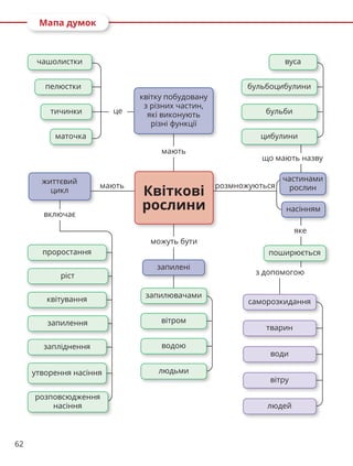 62
Мапа думок
мають
це
розмножуються
що мають назву
квітку побудовану
з різних частин,
які виконують
різні функції
запилені
поширюється
частинами
рослин
насінням
саморозкидання
запилювачами
тварин
вітру
людей
вітром
людьми
води
водою
вуса
Квіткові
рослини
яке
з допомогою
включає
бульбоцибулини
бульби
чашолистки
проростання
тичинки
квітування
маточка
запилення
запліднення
утворення насіння
розповсюдження
насіння
пелюстки
ріст
життєвий
цикл
цибулини
мають
можуть бути
 
