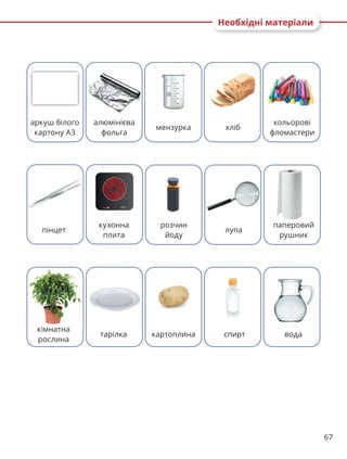 67
Необхідні матеріали
аркуш білого
картону А3
алюмінієва
фольга
мензурка хліб
кольорові
фломастери
пінцет
кухонна
плита
розчин
йоду
лупа
паперовий
рушник
кімнатна
рослина
тарілка картоплина спирт вода
 