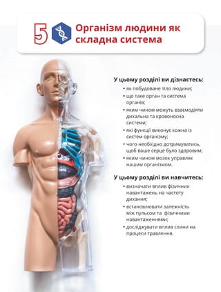 80
Організм людини як
складна система
5
5
У цьому розділі ви дізнаєтесь:
• як побудоване тіло людини;
• що таке орган та система
органів;
• яким чином можуть взаємодіяти
дихальна та кровоносна
системи;
• які функції виконує кожна із
систем організму;
• чого необхідно дотримуватись,
щоб ваше серце було здоровим;
• яким чином мозок управляє
нашим організмом.
У цьому розділі ви навчитесь:
• визначати вплив фізичних
навантажень на частоту
дихання;
• встановлювати залежність
між пульсом та фізичними
навантаженнями;
• досліджувати вплив слини на
процеси травлення.
 