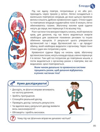 5 РОЗДІЛ
85
Під час вдиху повітря, потрапивши у ніс або рот,
проходить через трахею у легені. Легені складаються з
маленьких повітряних міхурців, до яких щільно прилягає
велика кількість дрібних кровоносних судин. Стінки судин
та повітряних міхурців надзвичайно тонкі й можуть легко
обмінюватись газами. Збагачену киснем кров судини
несуть до серця, яке перекачує її по всьому тілу.
Різні частини тіла використовують кисень, який принесла
кров, для дихання, під час якого виділяється енергія
необхідна для засвоєння поживних речовин та інших
обмінних процесів. У результаті цього утворюється
вуглекислий газ і вода. Вуглекислий газ – це продукт
обміну, який необхідно видалити з організму. Через тонкі
стінки судин він потрапляє у кров.
Кровоносні судини бідну на кисень кров, збагачену
вуглекислимгазом,несутьназаддосерця,авоноперекачує
її в легені. Там цей газ потрапляє до повітряних мішків, а
потім видаляється з організму разом з повітрям, яке ми
видихаємо. Цикл повторюється.
Яким чином дихальна та кровоносна системи
працюють разом, щоб дихання відбувалось
в різних частинах тіла?
Чому під час фізичних вправ ми дихаємо частіше?
• Дослідіть, як фізичні вправи впливають
на частоту дихання.
• Зробіть припущення.
• Сплануйте реальний дослід.
• Проведіть дослід і запишіть результати.
• Чи вдалося вам у результаті досліду виявити
якісь закономірності?
• Обговоріть і зробіть висновок.
Нумо досліджувати!
 