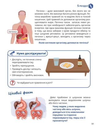 5 РОЗДІЛ
91
Цікавий факт
Деякі проблеми зі шлунком можна
вилікувати лише видаленням шлунка
або його частини.
Чому людям, у яких видалено
частину або весь шлунок,
доводиться їсти невеликими
порціями та старанно
пережовувати їжу, перш ніж її
проковтнути?
Печінка – дуже важливий орган, без якого ми не
можемо жити. Він виконує багато різних функцій. Пе-
чінка виробляє травний сік та виділяє його в тонкий
кишечник. Цей травний сік допомагає організму роз-
щеплювати жири. Печінка також запасає певні ре-
човини, які при необхідності забезпечують організм
енергією. Ще одна важлива функція печінки полягає
в тому, що вона забирає з крові продукти обміну та
інші шкідливі речовини. Ці речовини виводяться з
печінки і, врешті-решт, виходять з організму через
кишечник.
Яким системам організму допомагає печінка?
печінка
Чи відбувається травлення в роті?
• Дослідіть, чи починає слина
перетравлювати їжу.
• Зробіть припущення.
• Проведіть дослід і запишіть
свої спостереження.
• Обговоріть і зробіть висновок.
Нумо досліджувати!
 