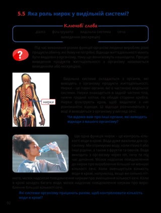 92
5.5 Яка роль нирок у видільній системі?
Під час виконання різних функцій організм людини виробляє різні
продуктиобміну,якійомунепотрібні.Відходижиттєдіяльностімають
бути видалені з організму, тому що вони можуть нашкодити. Процес
виведення продуктів життєдіяльності з організму називається
виведенням або екскрецією.
Видільна система складається з органів, які
виводять з організму продукти життєдіяльності.
Нирки – це парні органи, які є частиною видільної
системи. Нирки знаходяться в задній частині тіла,
нижче грудної клітки, по обидві сторони хребта.
Нирки фільтрують кров, щоб видалити з неї
різноманітні відходи. Ці відходи розчиняються у
воді й виводяться з організму у вигляді сечі.
Чи відомо вам про інші органи, які виводять
відходи з вашого організму?
нирки
Ще одна функція нирок – це контроль кіль-
кості води в крові. Вода дуже важлива для ор-
ганізму. Ми отримуємо воду, коли п’ємо її або
інші рідини, а також з фруктів та овочів. Вода
виходить з організму через піт, сечу та під
час дихання. Мозок надсилає повідомлення
до нирок про вироблення більшої чи меншої
кількості сечі. Коли зменшується кількість
води в крові, наприклад, якщо ви сильно піт-
нієте, мозок надсилає повідомлення ниркам про зменшення кількості сечі. Коли
в крові занадто багато води, мозок надсилає повідомлення ниркам про виро-
блення більшої кількості сечі.
Які системи організму працюють разом, щоб контролювати кількість
води в крові?
діаліз фільтрувати видільна система сеча
виведення (екскреція)
Ключові слова
 