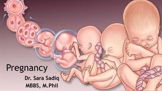 Pregnancy
Dr. Sara Sadiq
MBBS, M.Phil
 