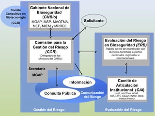 Consulta Regional sobre Políticas públicas en Semillas en América Latina, Por Ing. Enzo Benech