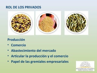 Consulta Regional sobre Políticas públicas en Semillas en América Latina, Por Ing. Enzo Benech