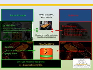 Consulta Regional sobre Políticas públicas en Semillas en América Latina, Por Ing. Enzo Benech