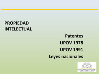 Consulta Regional sobre Políticas públicas en Semillas en América Latina, Por Ing. Enzo Benech