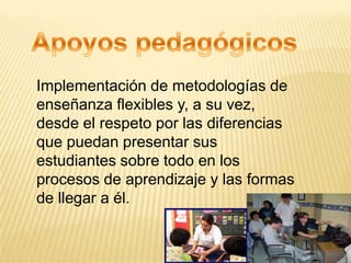 Implementación de metodologías de
enseñanza flexibles y, a su vez,
desde el respeto por las diferencias
que puedan presentar sus
estudiantes sobre todo en los
procesos de aprendizaje y las formas
de llegar a él.
 