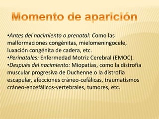 •Antes del nacimiento o prenatal: Como las
malformaciones congénitas, mielomeningocele,
luxación congénita de cadera, etc.
•Perinatales: Enfermedad Motriz Cerebral (EMOC).
•Después del nacimiento: Miopatías, como la distrofia
muscular progresiva de Duchenne o la distrofia
escapular, afecciones cráneo-cefálicas, traumatismos
cráneo-encefálicos-vertebrales, tumores, etc.
 
