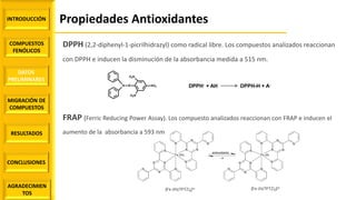 Propiedades AntioxidantesINTRODUCCIÓN
COMPUESTOS
FENÓLICOS
DATOS
PRELIMINARES
MIGRACIÓN DE
COMPUESTOS
AGRADECIMIEN
TOS
RESULTADOS
CONCLUSIONES
DPPH (2,2-diphenyl-1-picrilhidrazyl) como radical libre. Los compuestos analizados reaccionan
con DPPH e inducen la disminución de la absorbancia medida a 515 nm.
FRAP (Ferric Reducing Power Assay). Los compuesto analizados reaccionan con FRAP e inducen el
aumento de la absorbancia a 593 nm
DPPH. + AH DPPH-H + A.
 