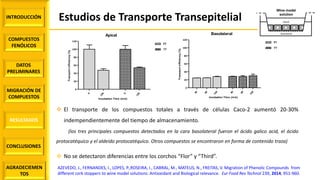 INTRODUCCIÓN
COMPUESTOS
FENÓLICOS
DATOS
PRELIMINARES
MIGRACIÓN DE
COMPUESTOS
AGRADECIEMEN
TOS
RESULTADOS
CONCLUSIONES
Estudios de Transporte Transepitelial
 El transporte de los compuestos totales a través de células Caco-2 aumentó 20-30%
indempendientemente del tiempo de almacenamiento.
(los tres principales compuestos detectados en la cara basolateral fueron el ácido galico acid, el ácido
protocatéquico y el aldeido protocatéquico. Otros compuestos se encontraron en forma de contenido traza)
 No se detectaron diferencias entre los corchos “Flor” y “Third”.
AZEVEDO, J., FERNANDES, I., LOPES, P.,ROSEIRA, I., CABRAL, M., MATEUS, N., FREITAS, V. Migration of Phenolic Compounds from
different cork stoppers to wine model solutions: Antioxidant and Biological relevance. Eur Food Res Technol 239, 2014, 951-960.
Basolateral
30
60
120
30
60
120
0
20
40
60
80
100
120
FT
TT
Incubation Time (min)
Transportefficiency(%)
Apical
0
120
0
120
0
20
40
60
80
100
120
FT
TT
Incubation Time (min)
Transportefficiency(%)
Wine model
solution
Apical
Basolateral
 
