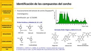 INTRODUCCIÓN
COMPUESTOS
FENÓLICOS
DATOS
PRELIMINARES
MIGRACIÓN DE
COMPUESTOS
AGRADECIMIEN
TOS
RESULTADOS
CONCLUSIONES
 Fraccionamiento del extracto de corcho (Toyopearl®)
Cromatograma :
Ácidos Fenólicos y Aldeidos (A, B, C y D)
OH
OH
OH
COOH
OH
OH
COOH
OH
OH
C
H
CH COOH
OH
C
H
CH
MeO
COH
Gallic acid Protocatechuic acid
Conyferaldehyde
Cafeic Acid
OH
COH
MeO
Vanilin
Derivados Ácido Elagico y Gálico (F, G y H)
O
O
O
O
OH
OH
OH
OH
m/z 301
OH
OH
OH
OH
COOH
COOH
OH O
OH
OH
OHHOOC
m/z 505
O
OO
OOH
OH
OH
O
OH
OH
OHHOOC
m/z 469
Ellagic Acid Valoneic Acid Valoneic Acid Dilactone
FERNANDES, A., MATEUS, N., CABRAL, M., de FREITAS, V. Analysis of phenolic compounds
in cork from Quercus suber L. by HPLC-DAD/ESI-MS. Food Chemistry 125, 2011, 1398-1405.
Identificación por LC ESI/MS
Identificación de los compuestos del corcho
 