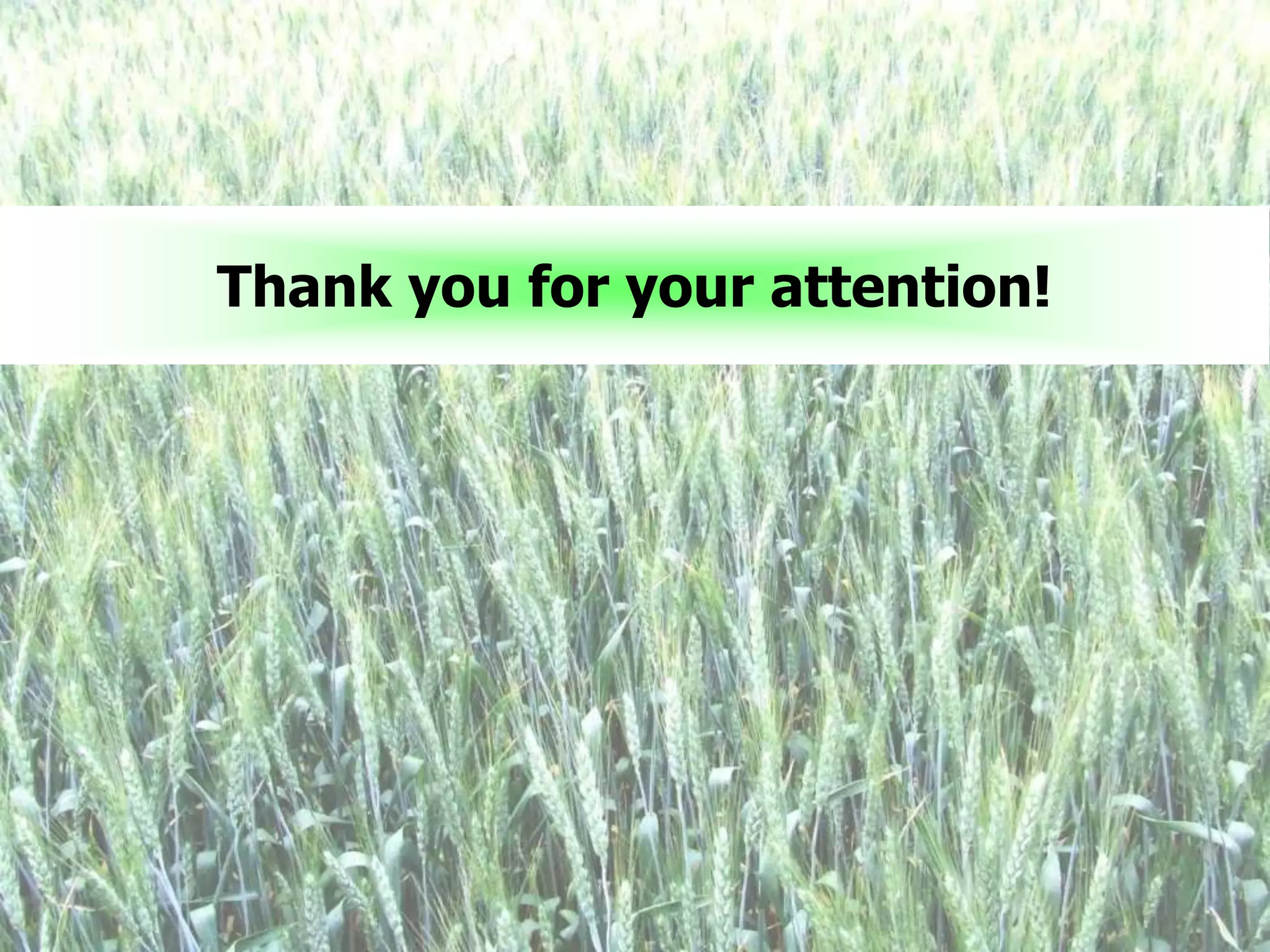 Thank you for your attention!
 