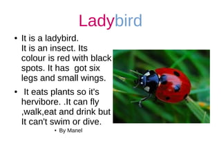 Ladybird
● It is a ladybird.
It is an insect. Its
colour is red with black
spots. It has got six
legs and small wings.
● It eats plants so it's
hervibore. .It can fly
,walk,eat and drink but
It can't swim or dive.
● By Manel
 