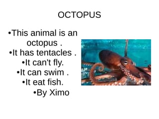 OCTOPUS
●This animal is an
octopus .
●It has tentacles .
●It can't fly.
●It can swim .
●It eat fish.
●By Ximo
 