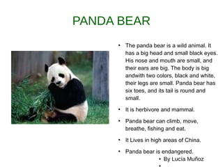 PANDA BEAR
●
The panda bear is a wild animal. It
has a big head and small black eyes.
His nose and mouth are small, and
their ears are big. The body is big
andwith two colors, black and white,
their legs are small. Panda bear has
six toes, and its tail is round and
small.
●
It is herbivore and mammal.
●
Panda bear can climb, move,
breathe, fishing and eat.
●
It Lives in high areas of China.
●
Panda bear is endangered.
● By Lucía Muñoz
●
 
