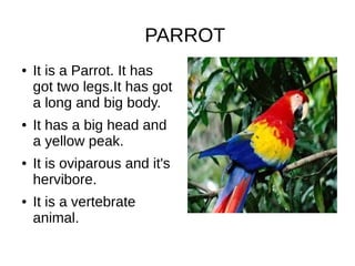 PARROT
● It is a Parrot. It has
got two legs.It has got
a long and big body.
● It has a big head and
a yellow peak.
● It is oviparous and it's
hervibore.
● It is a vertebrate
animal.
 