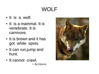 WOLF
● It is a wolf.
● It is a mammal. It is
vertebrate. It is
carnivore.
● It is brown and it has
got white spots.
● It can run,jump and
hunt.
● It cannot crawl.
● By Edurne
 