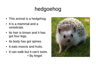 hedgoehog
● This animal is a hedgehog.
● It is a mammal and a
vertebrate.
● Its hair is brown and it has
got four legs.
● Its body has got spines.
● It eats insects and fruits.
● It can walk but it can't swim.
● By Angel Fila 1 Fila 2 Fila 3 Fila 4
0
2
4
6
8
10
12
Columna 1
Columna 2
Columna 3
 