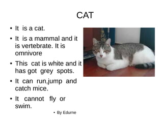 CAT
● It is a cat.
● It is a mammal and it
is vertebrate. It is
omnivore
● This cat is white and it
has got grey spots.
● It can run,jump and
catch mice.
● It cannot fly or
swim.
● By Edurne
 