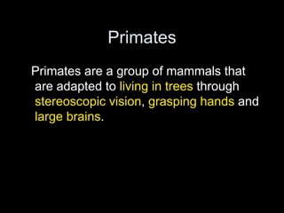 Primates
Primates are a group of mammals that
are adapted to living in trees through
stereoscopic vision, grasping hands and
large brains.
 