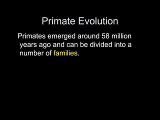 Primate Evolution
Primates emerged around 58 million
years ago and can be divided into a
number of families.
 