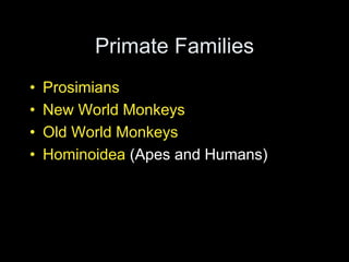 Primate Families
• Prosimians
• New World Monkeys
• Old World Monkeys
• Hominoidea (Apes and Humans)
 