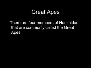 Great Apes
There are four members of Hominidae
that are commonly called the Great
Apes.
 