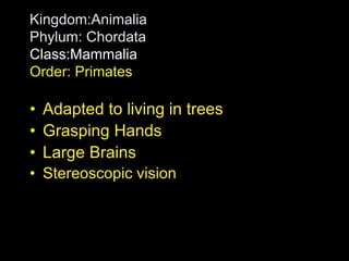 Kingdom:Animalia
Phylum: Chordata
Class:Mammalia
Order: Primates
• Adapted to living in trees
• Grasping Hands
• Large Brains
• Stereoscopic vision
 