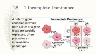 5 principles of inheritance and variation | PPTX