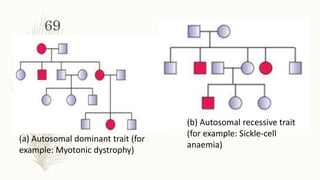 5 principles of inheritance and variation | PPTX