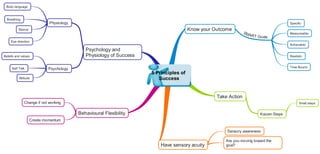 5 principles of success mindmap