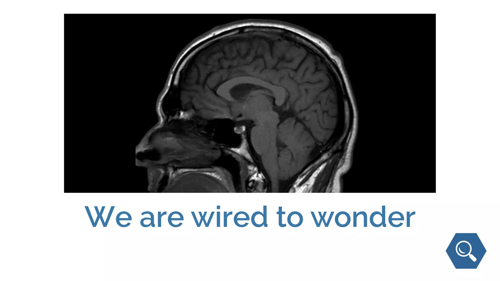 We are wired to wonder
 