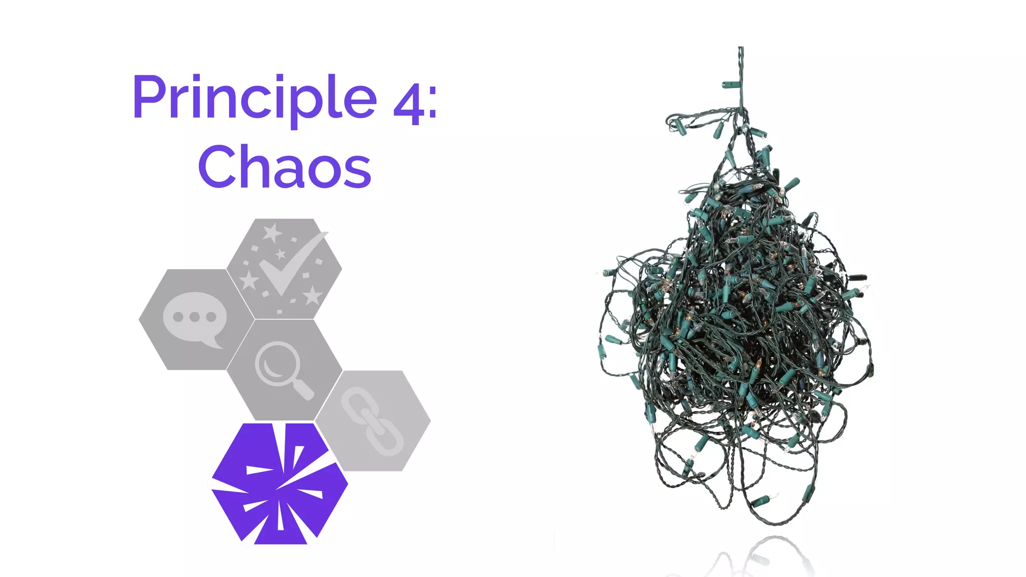 Principle 4:
Chaos
 