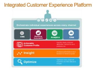 Integrated Customer Experience Platform
 