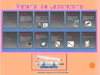 Aprendizaje Cooperativo en el IES Pino Manso
 