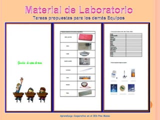 Aprendizaje Cooperativo en el IES Pino Manso
 